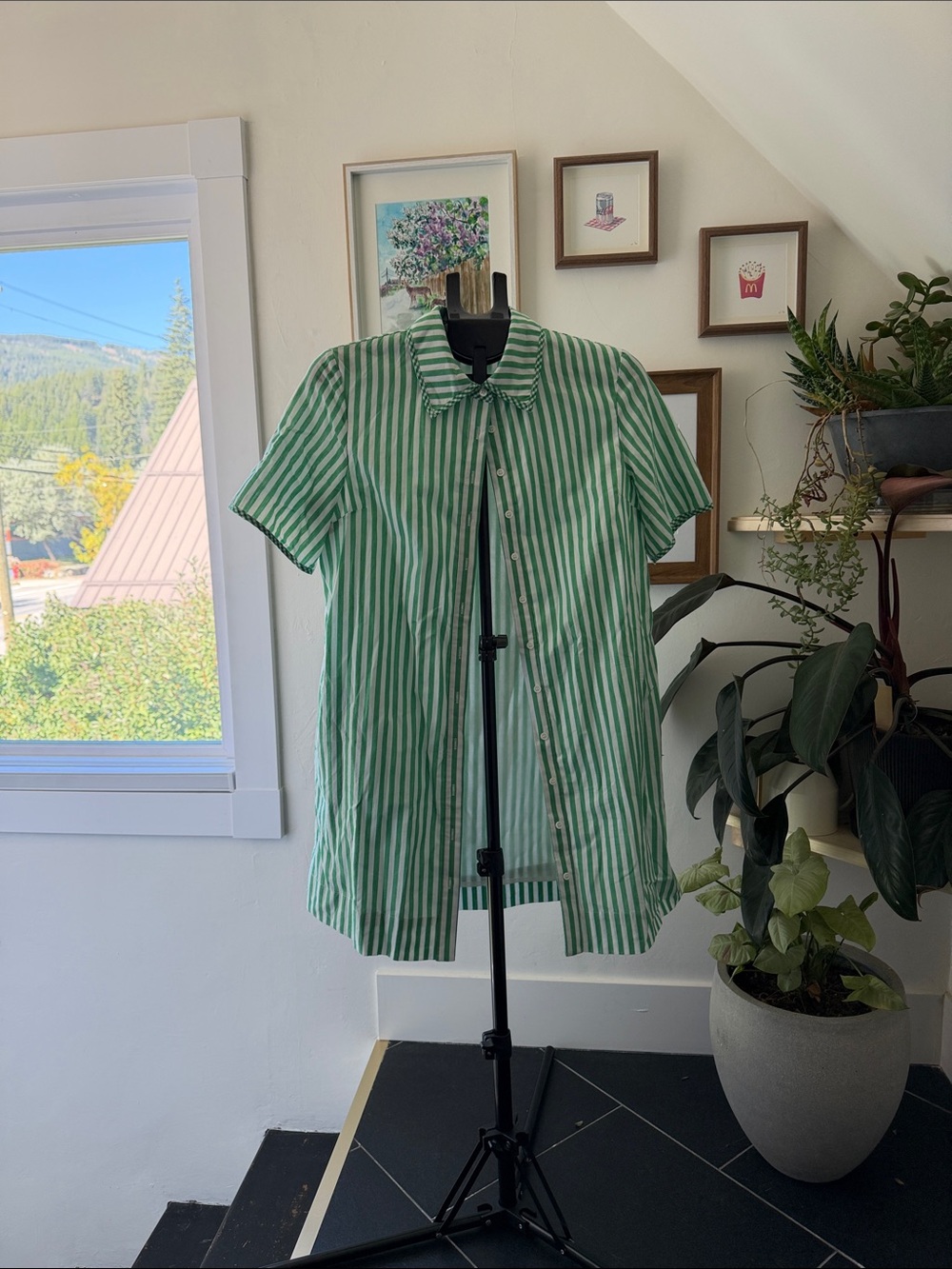 Green Stripe Short-Sleeve Button-Up Shirt